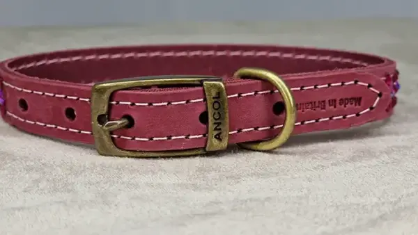 Bespoke - Dog Collar with Crystal Embellishment - Own Product - Image 3