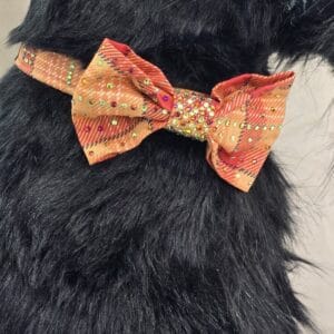 Autumn Tartan Dog Dickie Bow with Crystals