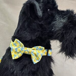 Spring Daffodil Dog Collar with Crystals