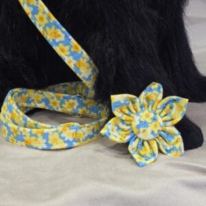 Spring Daffodil Yellow Dog lead