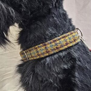 Harris Tweed Dog Collar
