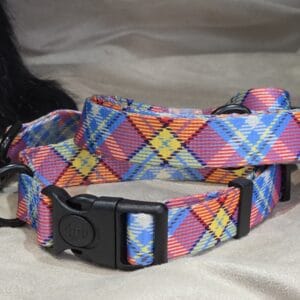Multi Colour Check Fabric Dog Lead