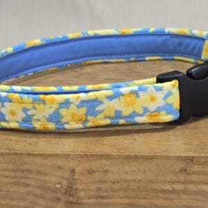 Spring Daffodil Dog Collar